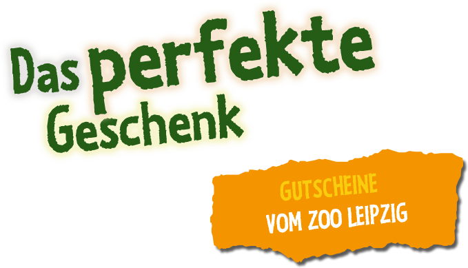 Das perfekte Geschenk vom Zoo Leipzig