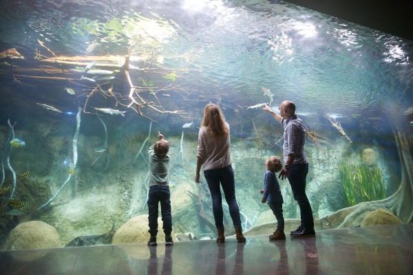 Familie vor Panoramascheibe Aquarium