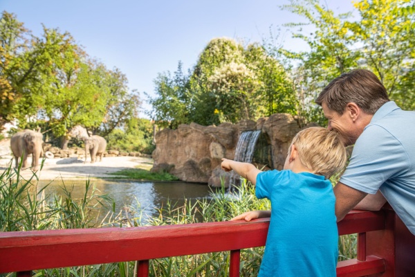 Vater mit Sohn an Elefantenanlage