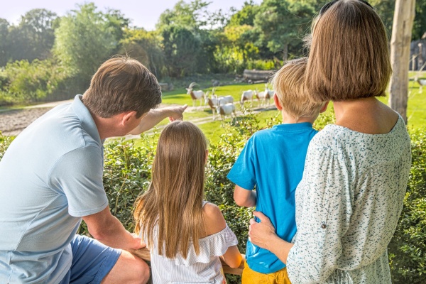 Familie blickt auf Kiwara-Savanne mit Säbelantilopen