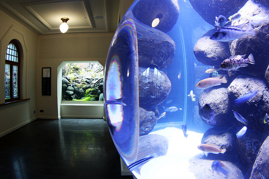 Kulissenblick - Aquarium Gallery 180