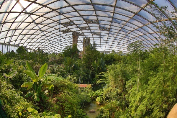 Blick in die Tropenhalle Gondwanaland