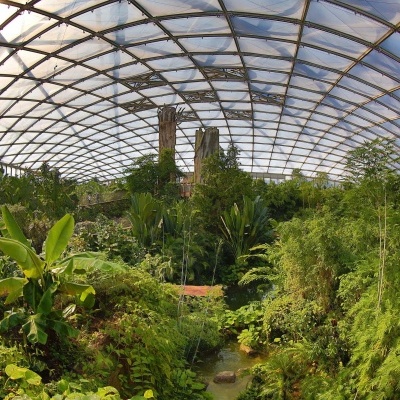 Blick in die Tropenhalle Gondwanaland