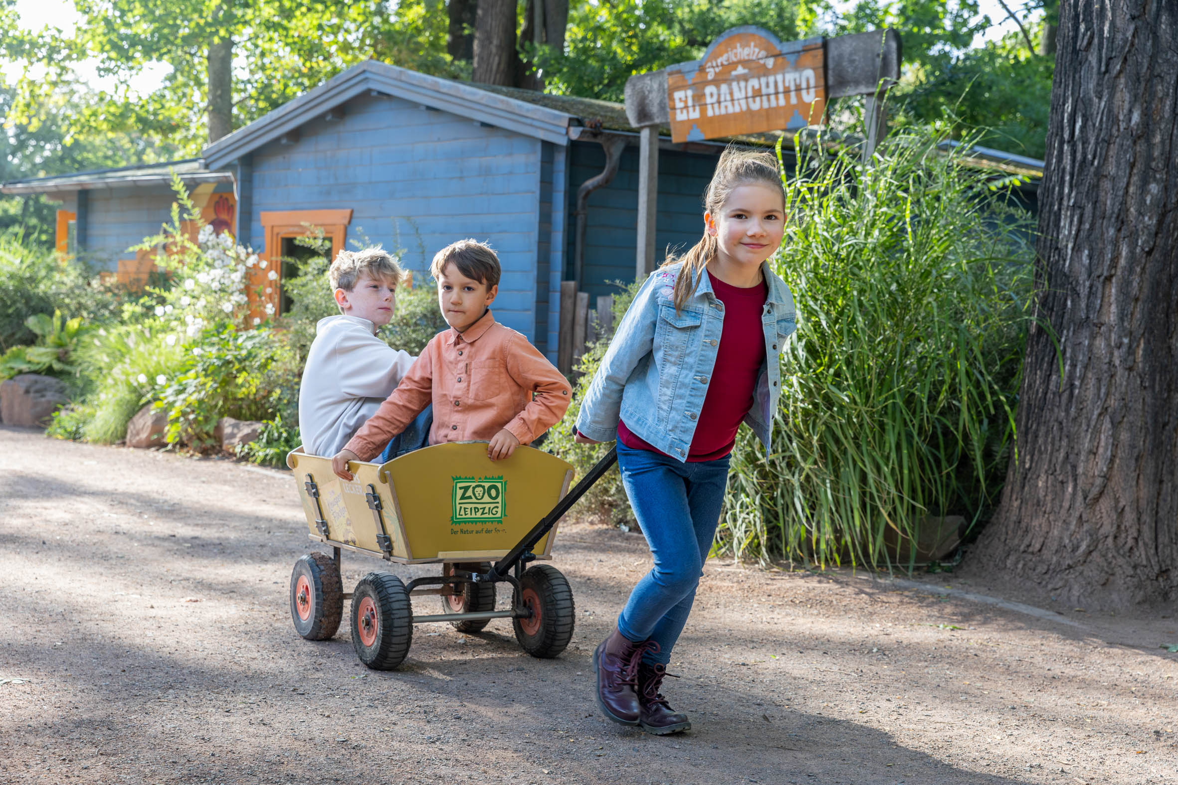 Bollerwagen und Buggys