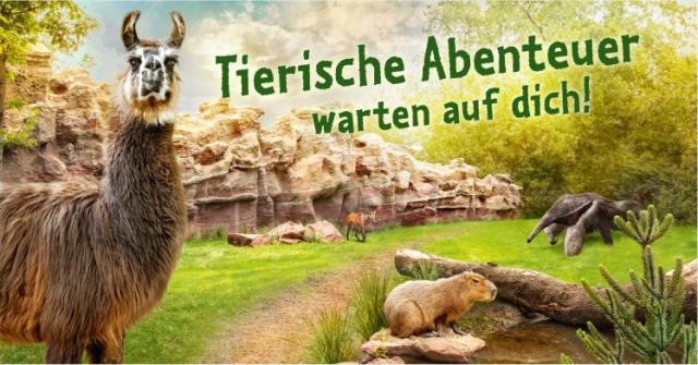 Tierische Abenteuer warten auf dich! Collage mit Lama, Capybara, Ameisenbär und Fuchs